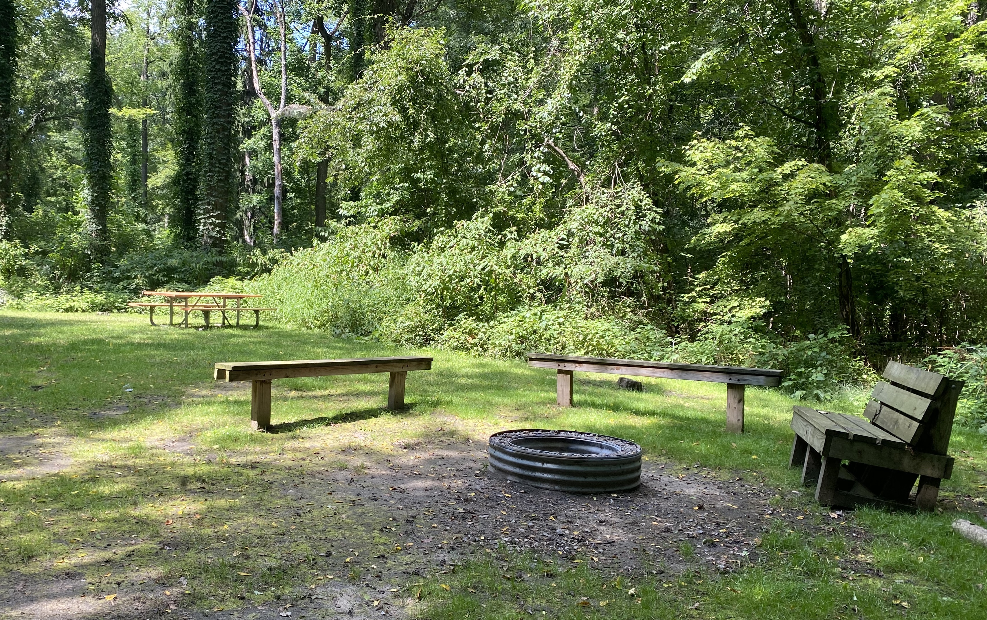 Image for Tent Site 4